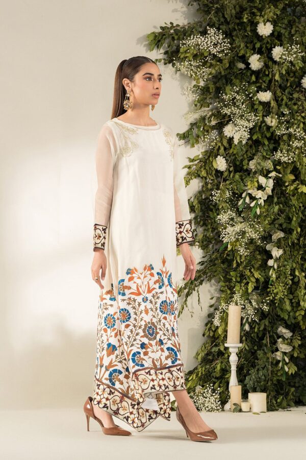 2PC- Organza Agha Noor luxury Embrodered - Image 3